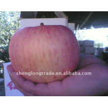 China Fresh Fuji Apple Fabrik Import 008615966901802